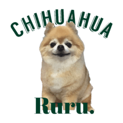 Ruru_20221114101637