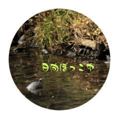 Hahoini_20221113142340