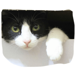 黃小妹日常用語