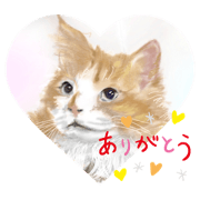 Yasu_20221113202247