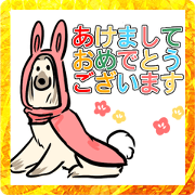 Afghan hound dog2023