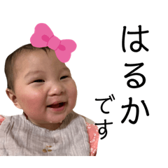yuka_20221114180730