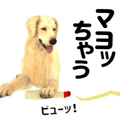 Golden Retriever Puns