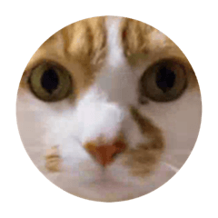 sumityan_20221114183215