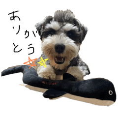 osamu_20221114185828 – LINE stickers | LINE STORE