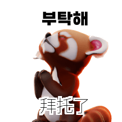 40P小熊貓學習韓語 WAC
