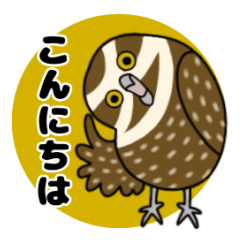 burrowing owl sticker