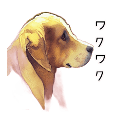 Dog realistic watercolor sticker