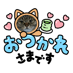 shin_20221114225020