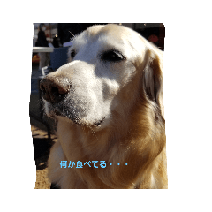 yuka_20221114232255