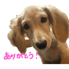 ARISA_20221115010608