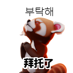 40P小熊貓學習韓語 QfM