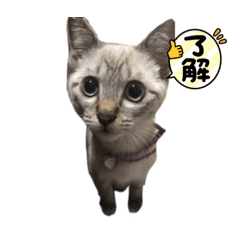 yuka_20221115002228
