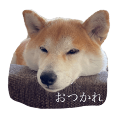 yuka_20221115003123