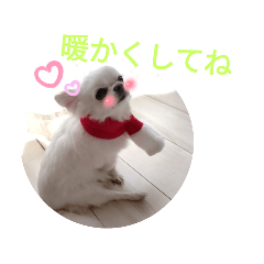 misa_20221115134009