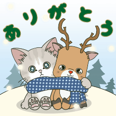 とびだす❤️仔猫のぽんにゃん❤️毎日使える