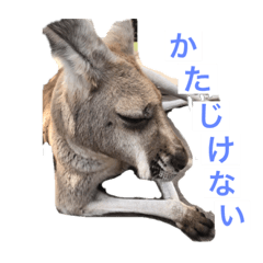 Hey guys, from Australia