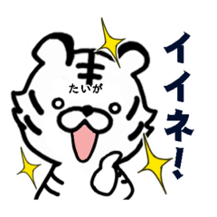 White tigers for TAIGA