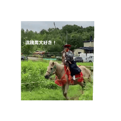 Hikari_20221113133347