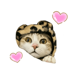 arisa_20221116020718