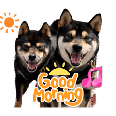 Yuka_20221115215056
