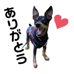 NATSUMI_20221115214518