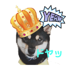 kinaco_20221115223623