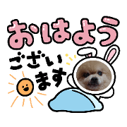 POP_20221115231652