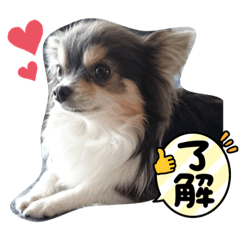 yukari_20221115231959