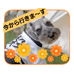 kai1016_20221113180919