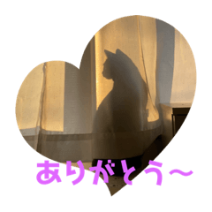 Smile_20221115230451