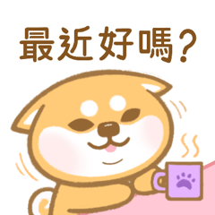 Curly bear&Shiba inu-Expressive face