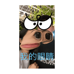 22眼睛
