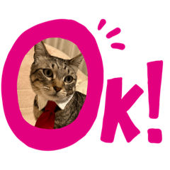 momoko_20221116173115