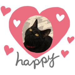 kuronekosutannpuakakubiwa