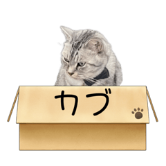 MIZUKI_20221116212240