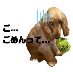 belly09_20221116222143