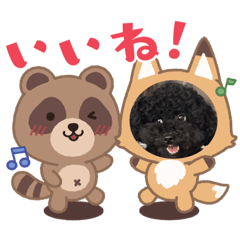 トイプードルのbase