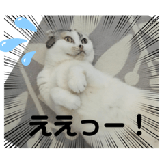 hana_20221117110506