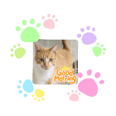 おちゃねこスタンプ