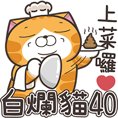 白爛貓40☆超活潑☆