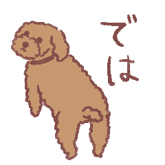 Toy poodle Riku-chan