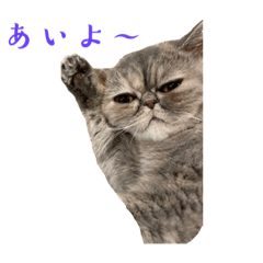 shin_20221118084015