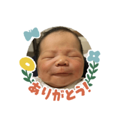 yukari_20221118003918