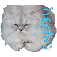 hana_20221118001411