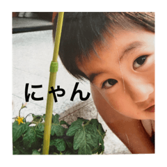 aran_0219
