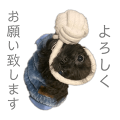 yuka_20221117223238