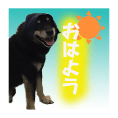 yuto_20221117222036