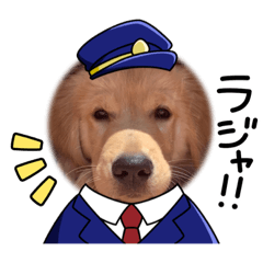 hikari_20221118101906