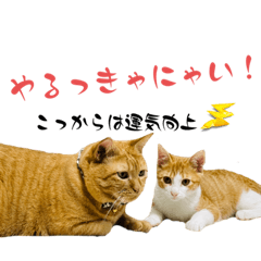 yuka_8321